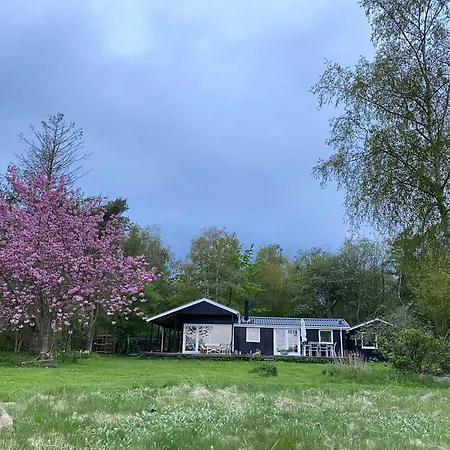 Unique, Artistic House With Fjord View 度假居 Holbæk