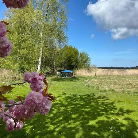 Unique, Artistic House With Fjord View 度假居 Holbæk