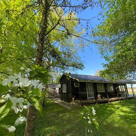 Unique, Artistic House With Fjord View Feriehus *